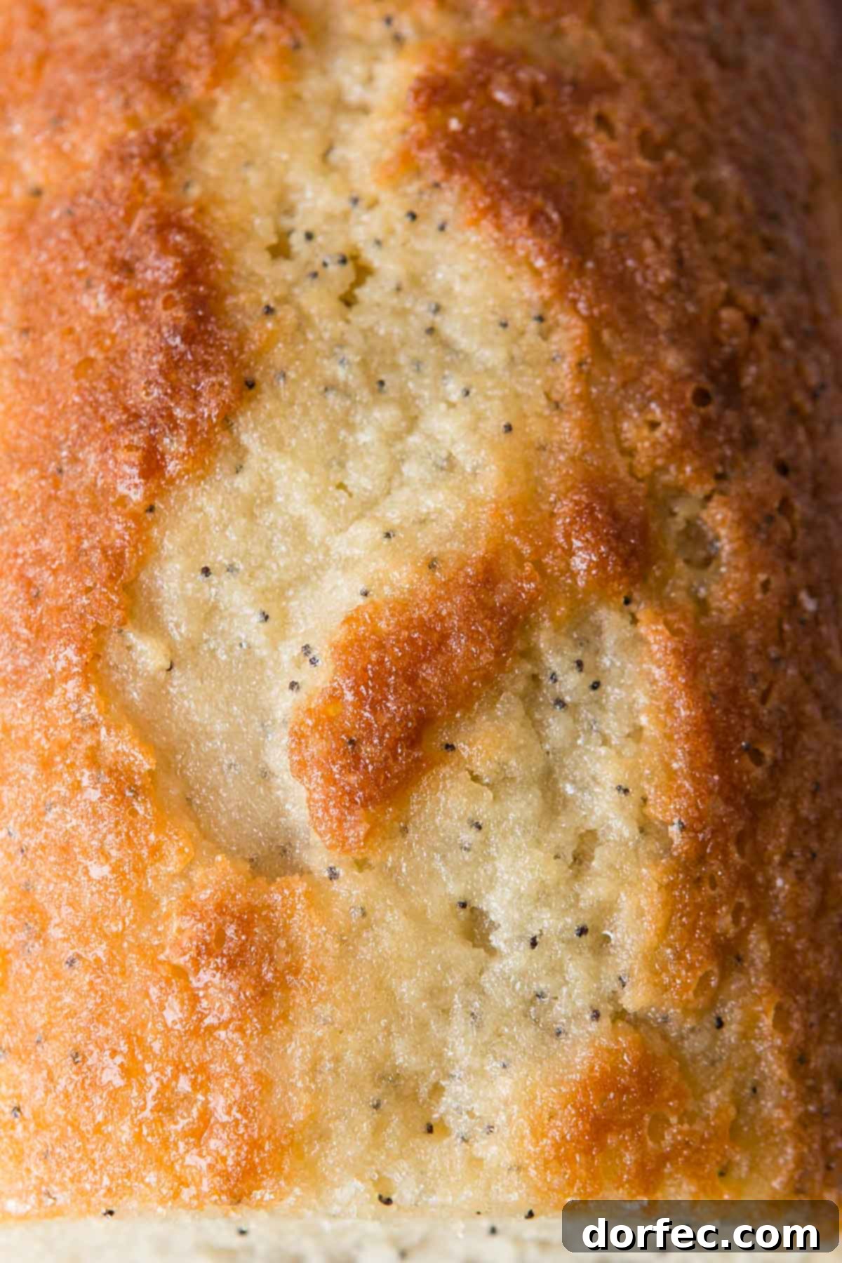 Glazed Poppy Seed Loaf 5 Poppy seed bread is delightful on its own, but an orange glazed poppy seed bread is truly extraordinary.