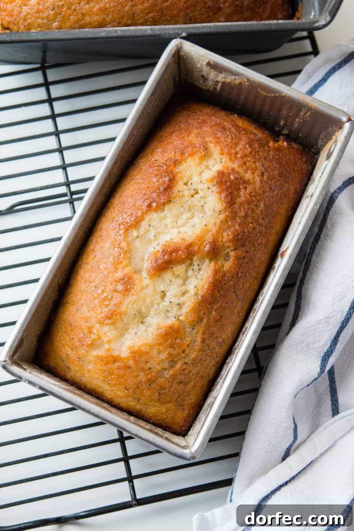 Glazed Poppy Seed Loaf 6 The irresistible aroma and flavor of Glazed Poppy Seed Bread makes it a favorite.