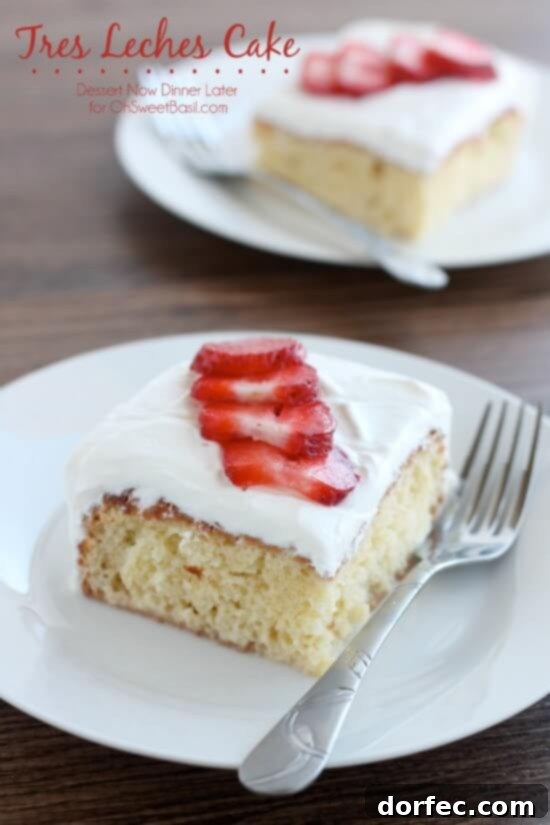 Tres Leches Cake, a moist milk-soaked sponge cake, garnished with fresh berries and whipped cream