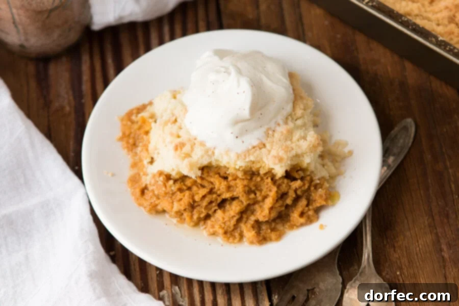 Homemade Pumpkin Pie Dump Cake, a simple yet elegant dessert