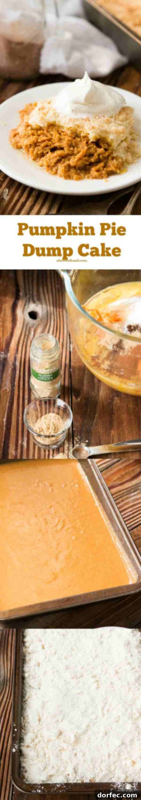 Mom's famous pumpkin pie dump cake! It's super easy but everyone loves that it tastes like cobbler and pumpkin pie in one! ohsweetbasil.com