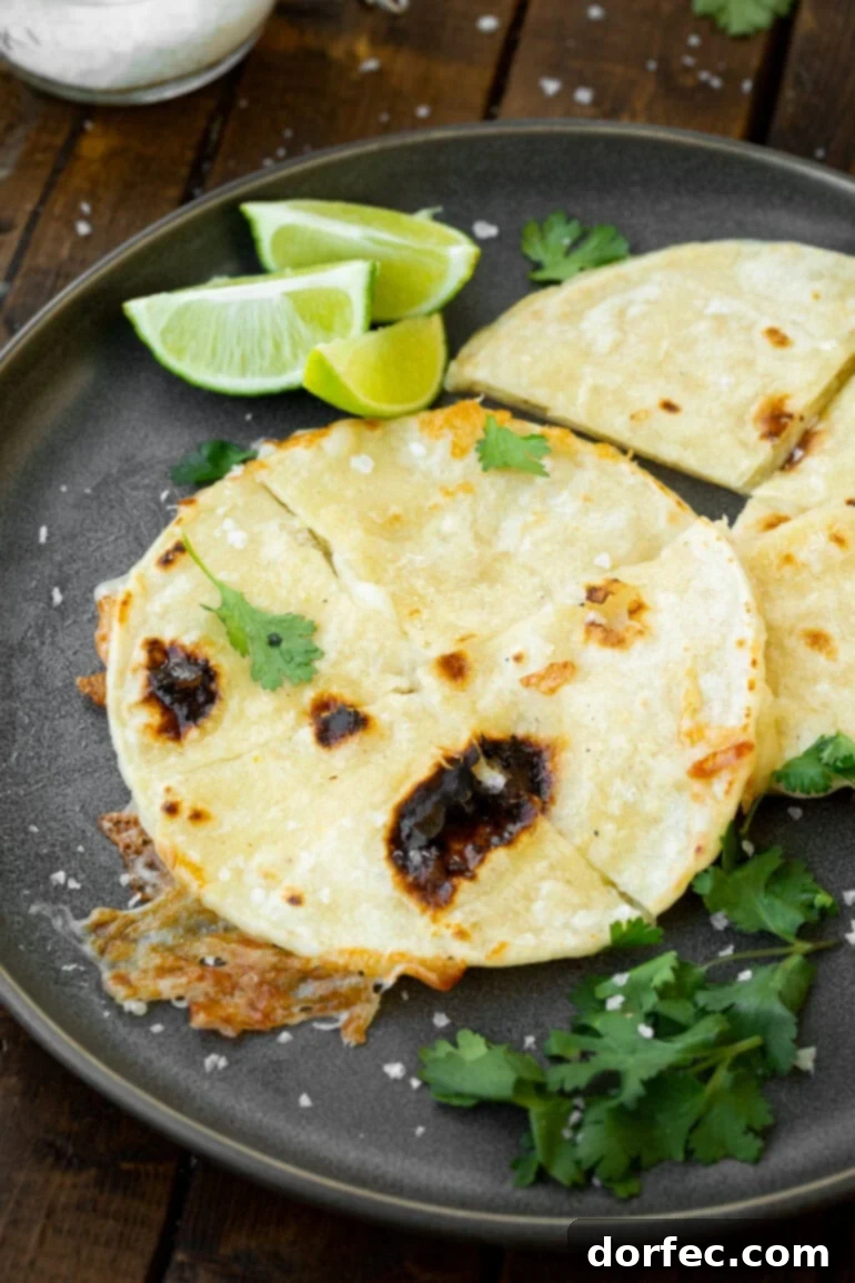 A golden quesadilla, artfully arranged on a circular serving tray with fresh lime wedges and chopped cilantro.