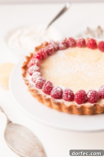 Lemon Curd Cheesecake Tart ohsweetbasil.com