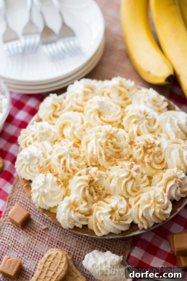 A slice of Salted Caramel Banana Pie with a Nutter Butter crust and whipped cream on top, drizzled with caramel.
