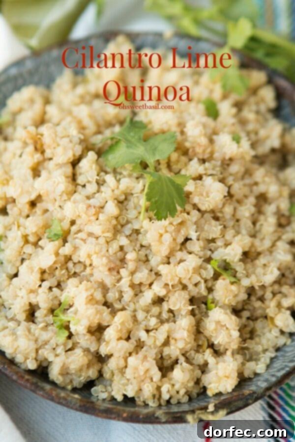 Healthier Mexican Side Dish: Cilantro Lime Quinoa Vibrant Cilantro Lime Quinoa, a healthy Mexican side dish with fresh cilantro and zesty lime. ohsweetbasil.com