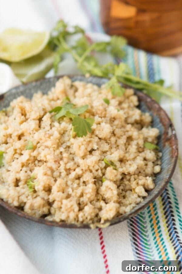 Zesty Cilantro Lime Quinoa 2 A serving of Cilantro Lime Quinoa, ready to be enjoyed as a wholesome side dish. ohsweetbasil.com