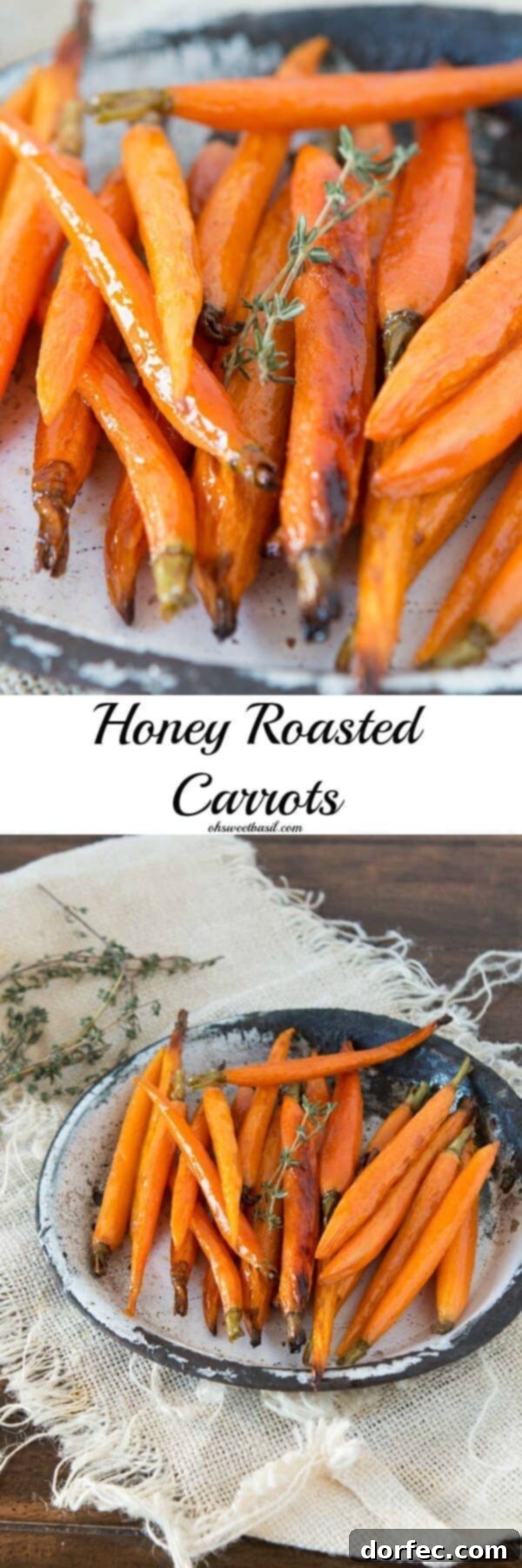 Perfectly honey roasted carrots, tender and sweet, a simple yet elegant side dish. Recipe available on ohsweetbasil.com.