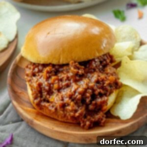A prepared sloppy joe ready to be served.
