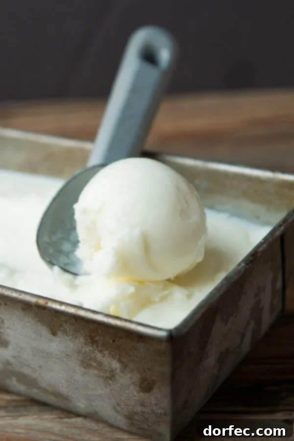Copycat Red Mango Frozen Yogurt - Only 2 Ingredients for a Delicious Homemade Frozen Treat
