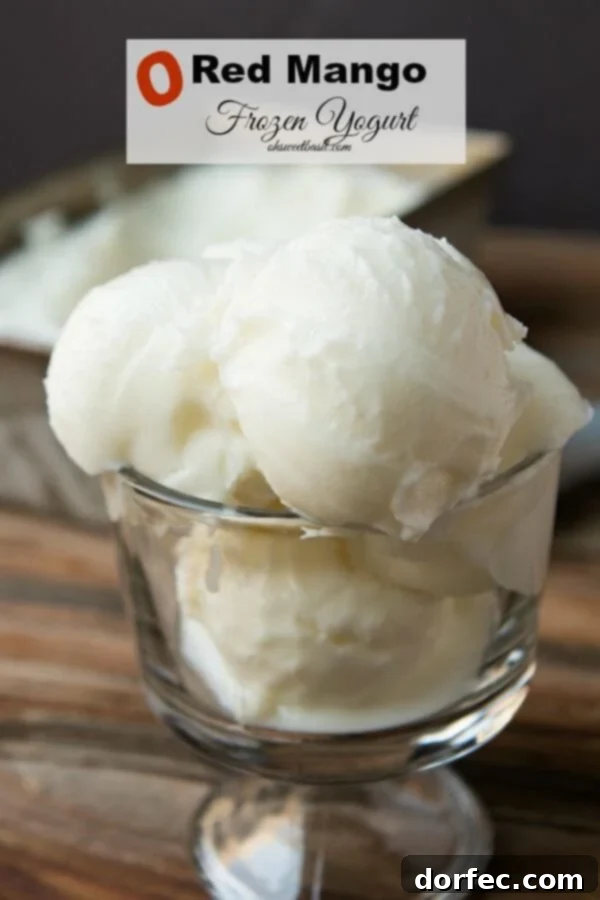 Creamy Homemade Frozen Yogurt with Fresh Fruit Toppings