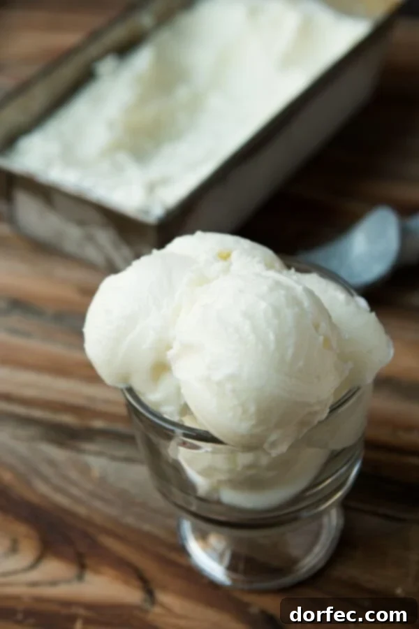 Key Ingredients for 2-Ingredient Frozen Yogurt: Plain Yogurt and Sugar
