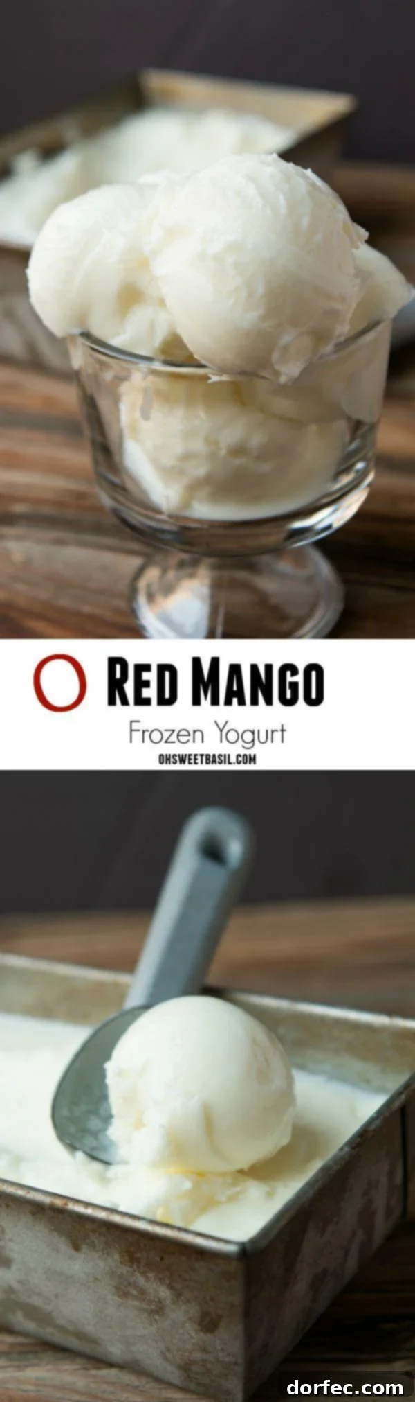 It's only 2 ingredients and tastes just like Red Mango Frozen Yogurt! Ohsweetbasil.com