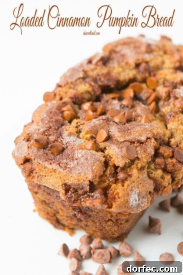 A loaf of loaded cinnamon chip pumpkin bread, featuring a delicious streusel topping.