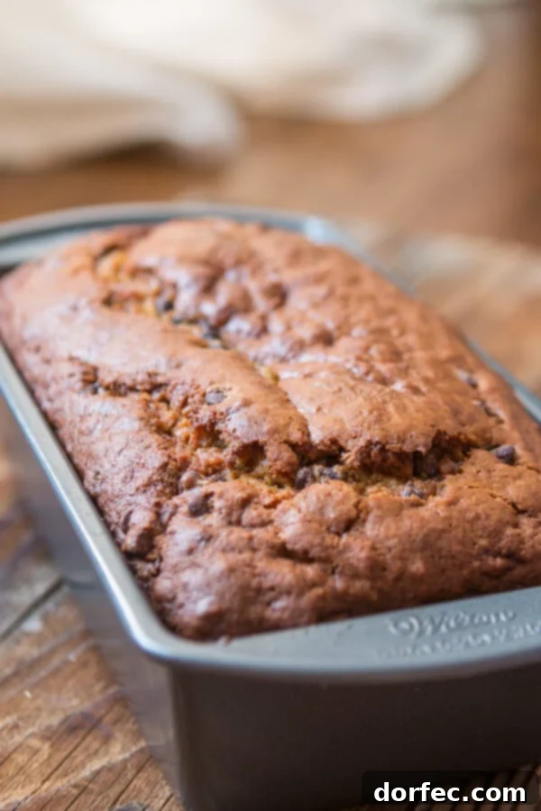 A perfectly baked loaf of pumpkin chocolate chip bread, ready to be sliced and enjoyed.
