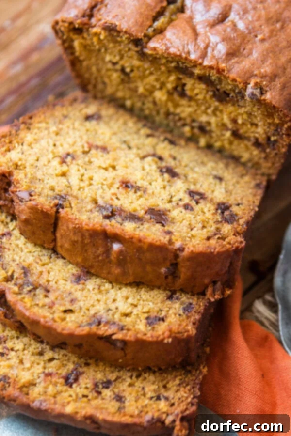 Close-up of golden-brown pumpkin chocolate chip bread, showcasing its fluffy texture.