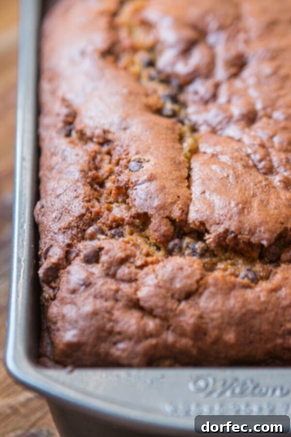 An adorable toddler with messy hands, reaching for a slice of pumpkin chocolate chip bread, demonstrating its universal appeal.
