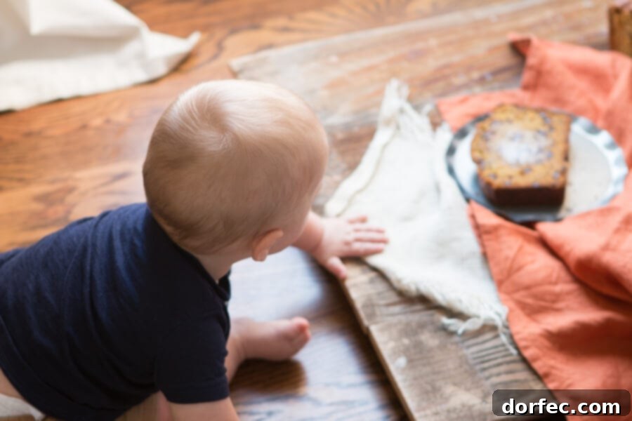 A playful shot of a child double-fisting a large piece of pumpkin chocolate chip bread, happily devouring it.