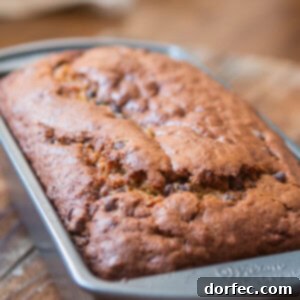 A vibrant slice of pumpkin chocolate chip bread, moist and delicious.
