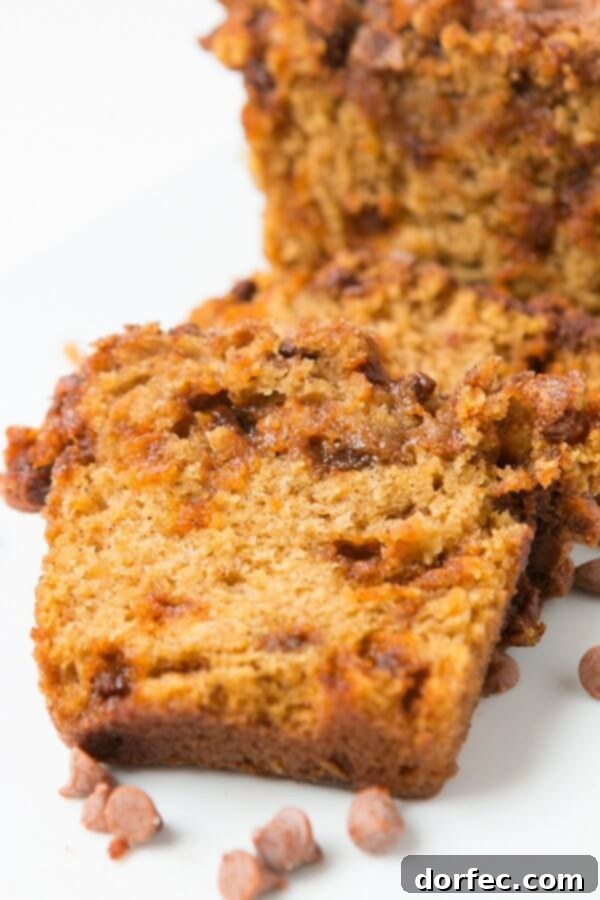 Loaded Cinnamon Chip Pumpkin Bread: Your New Favorite Comfort Food A slice of incredibly moist Loaded Cinnamon Chip Pumpkin Bread, full of warm cinnamon chips, ready to be enjoyed any time of day.