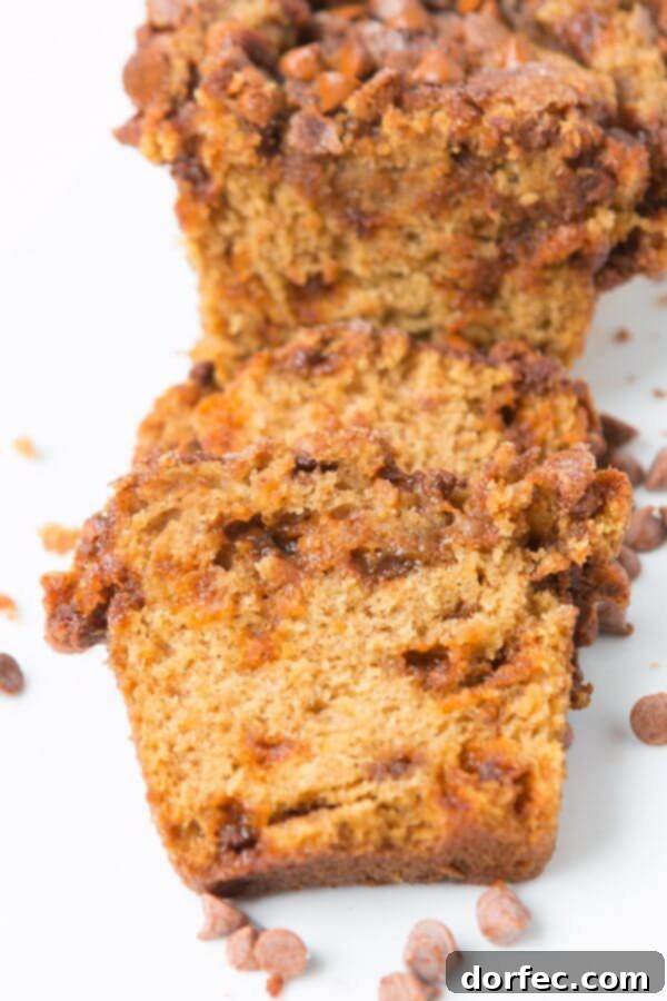 Storing Loaded Cinnamon Chip Pumpkin Bread A third enticing image of Loaded Cinnamon Chip Pumpkin Bread, highlighting its rich, golden-brown crust and inviting texture.