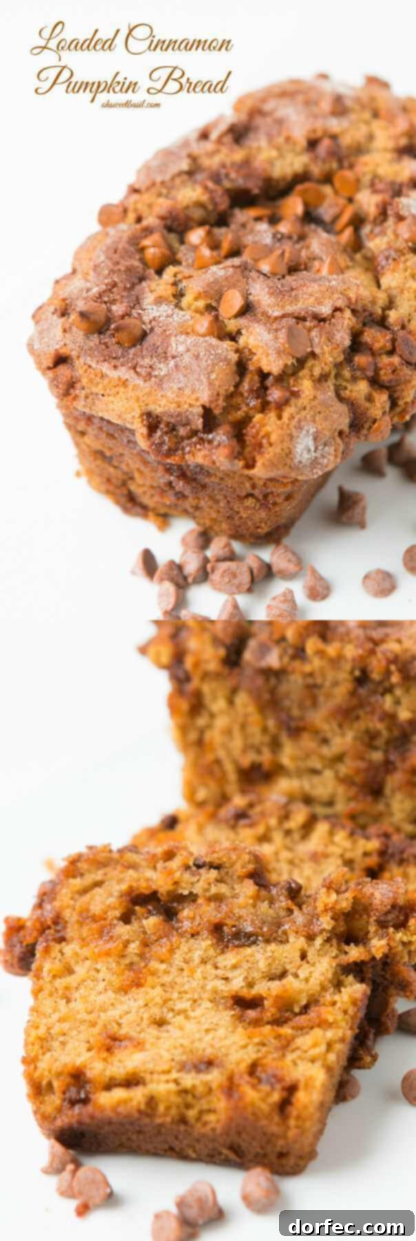 Decadent Cinnamon Chip Pumpkin Bread 3 Loaded Cinnamon Chip Pumpkin Bread, your new holiday favorite, perfect for any occasion! ohsweetbasil.com