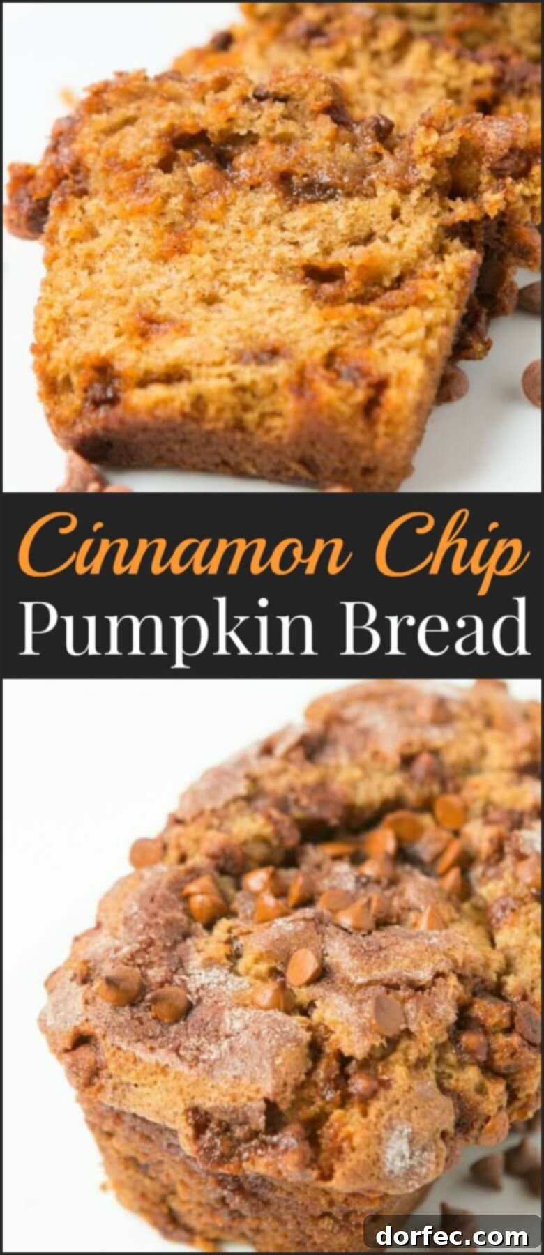 Loaded Cinnamon Chip Pumpkin Bread: A Crowd Pleaser A glorious close-up of a full loaf of Loaded Cinnamon Chip Pumpkin Bread, ready to be sliced and served.