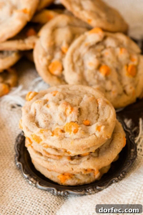 Close-up of a freshly baked pumpkin spice cookie featuring visible pumpkin spice chips and a soft, chewy texture, perfect for fall desserts. Recipe from ohsweetbasil.com.