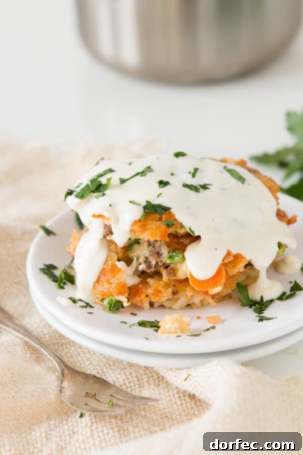 Easy Cheesy Ground Beef and Rice Fried Cakes: A Quick Dinner Idea Using Leftovers