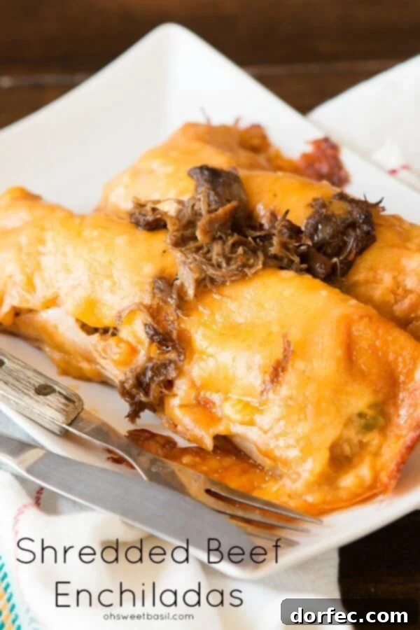 Delicious Shredded Beef Enchiladas with creamy salsa con queso sauce ready to be served