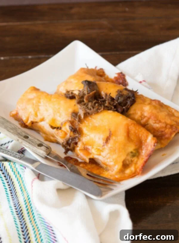 Finished Shredded Beef Enchiladas baked to perfection with melted cheese and creamy sauce