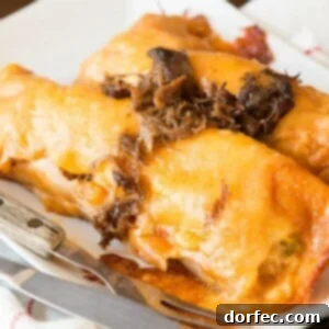Easy shredded beef enchiladas ohsweetbasil.com