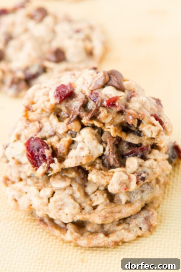 Close-up of a stack of Cranberry Toffee Oatmeal Chippers, showcasing their rich texture and delicious add-ins.