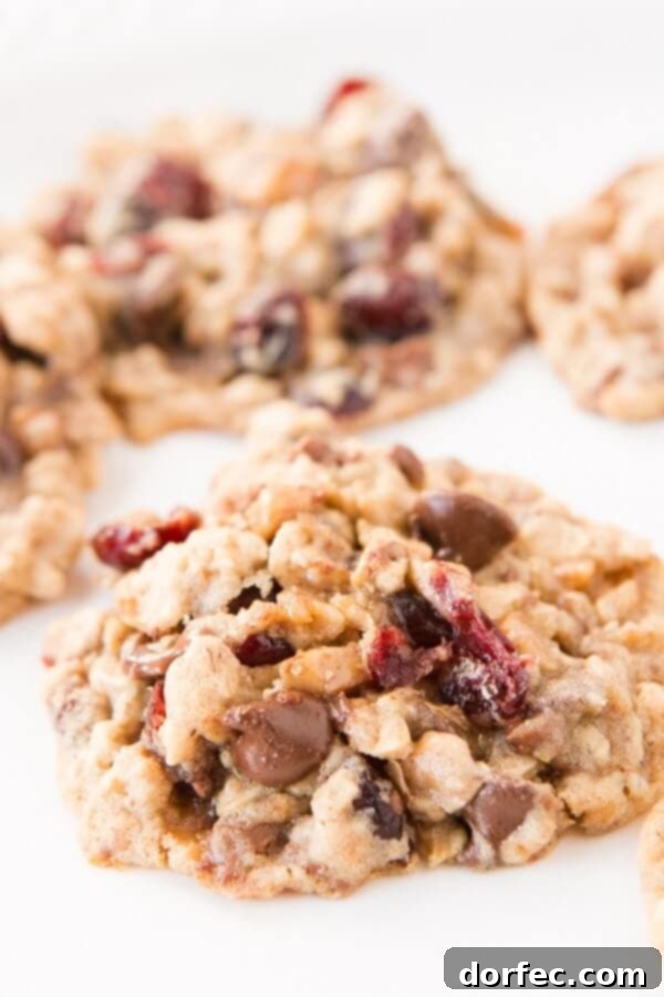 A baking sheet filled with freshly baked Cranberry Toffee Oatmeal Chippers, golden brown and perfectly soft.