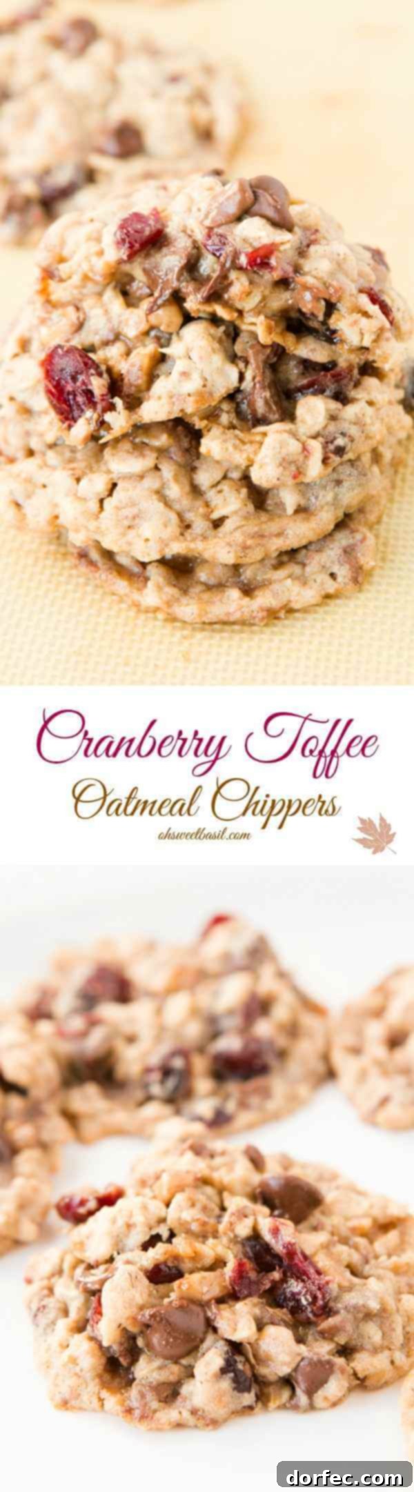 Our family's new favorite cookie: Craisin Toffee Oatmeal Chippers.