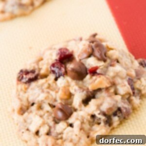A perfectly baked Cranberry Toffee Oatmeal Chipper, ready to be enjoyed.