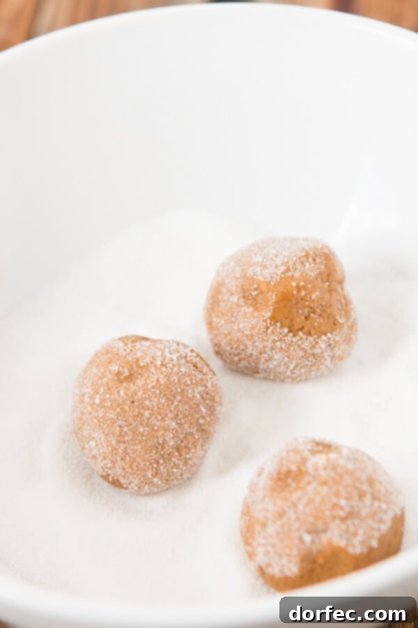 Soft-Baked Molasses Delights 4 A baker's hands gently rolling molasses cookie dough into granulated sugar, preparing them for baking.