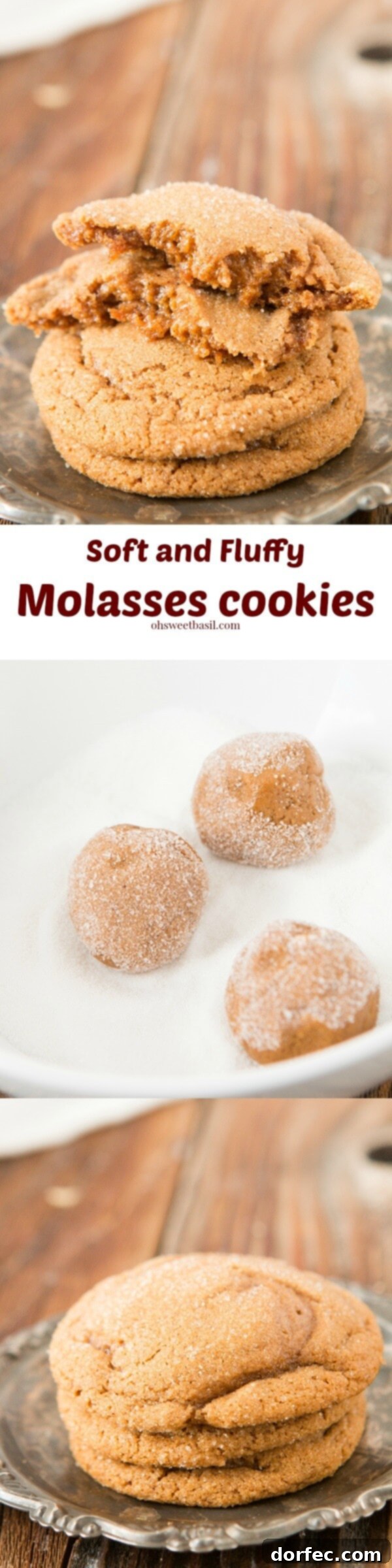 Soft-Baked Molasses Delights 6 A close-up of a perfectly baked soft and chewy molasses cookie with a lovely sugar coating, ready to be devoured.