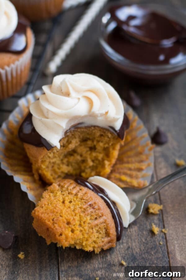 A tray of freshly baked Chocolate Covered Pumpkin Cupcakes, ready for serving