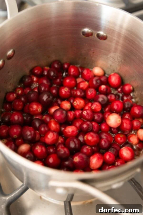 Our favorite cranberry sauce with a hint of orange and a secret ingredient that you will love! ohsweetbasil.com Better than Grandma's Spiced Orange Blackberry Cranberry Sauce