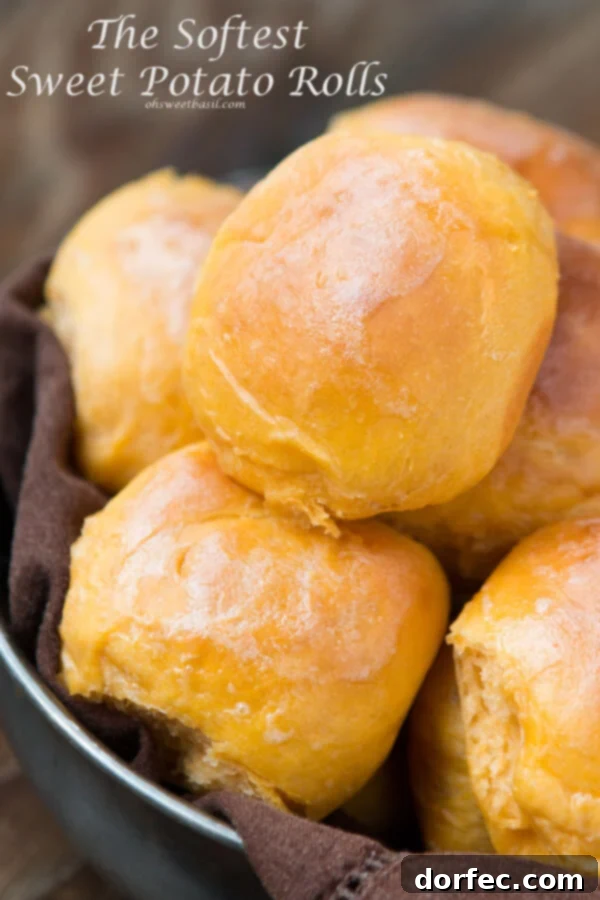 Homemade Sweet Potato Rolls, soft and fluffy for any meal. Ohsweetbasil.com