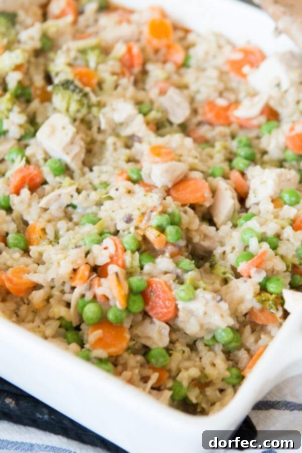 Close-up of baked Cheesy Ranch Chicken and Rice Casserole with golden cheese