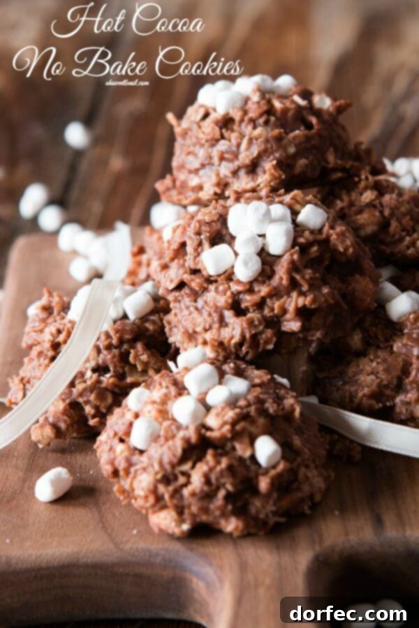 Easy Hot Cocoa No Bake Cookies - A Winter Family Favorite Our family has been making these hot cocoa no bake cookies practically every week all winter and I don't feel bad about it one bit.