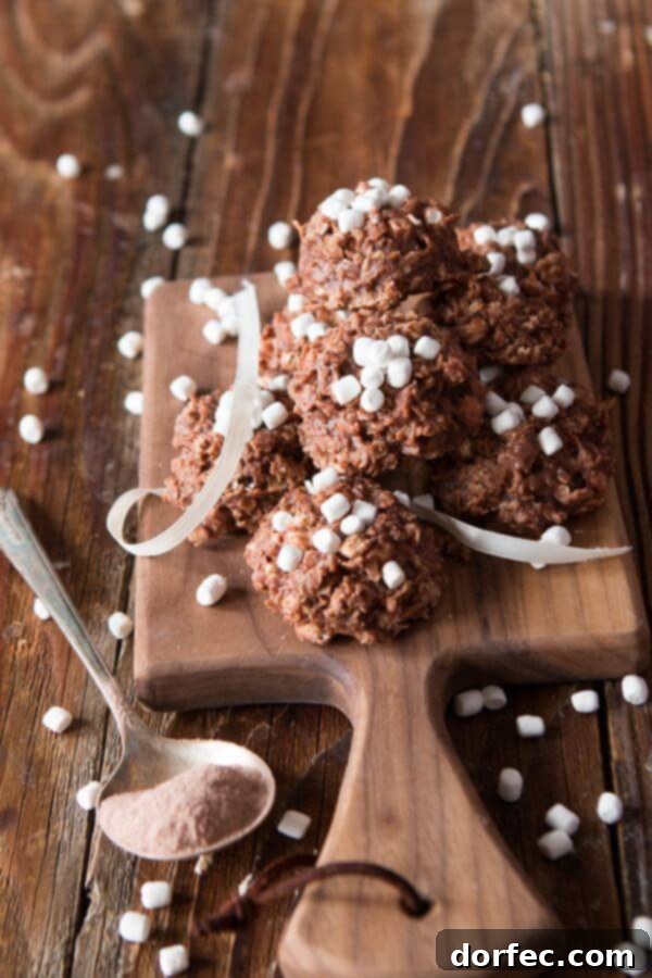 Delicious Chocolate Marshmallow No Bake Cookies Our family has been making these hot cocoa no bake cookies practically every week all winter and I don't feel bad about it one bit.