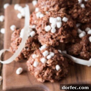Hot Cocoa No Bake Cookies Recipe