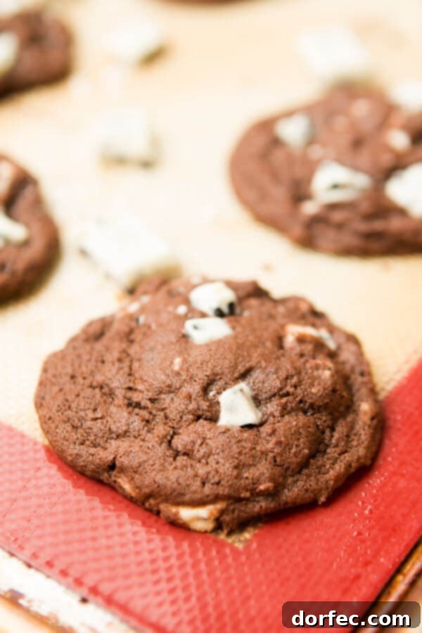 No-Bake Hot Cocoa Delights 2 Chocolate Cookies and Cream Cookies ohsweetbasil.com