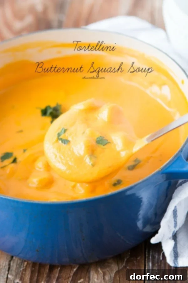 A Culinary Revelation: Creamy Tortellini Butternut Squash Soup I am usually a chicken tortilla or potato soup girl but I've become obsessed with this creamy tortellini butternut squash soup! ohsweetbasil.com