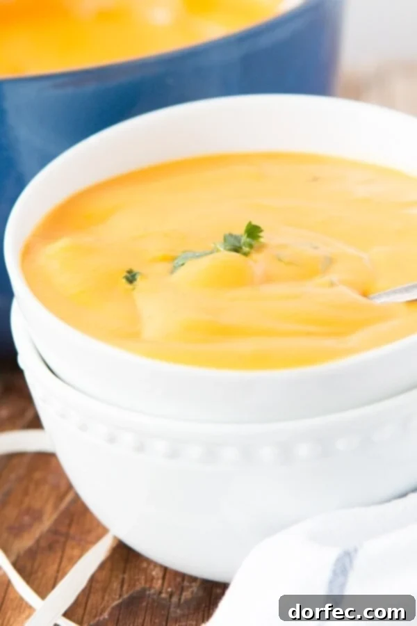 Inspiration for Gourmet Home Cooking I am usually a chicken tortilla or potato soup girl but I've become obsessed with this creamy tortellini butternut squash soup! ohsweetbasil.com