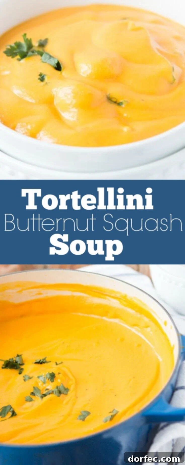 Velvety Butternut Squash Tortellini Soup 3 The perfect comfort soup for Fall! We are obsessed with this creamy tortellini butternut squash soup!