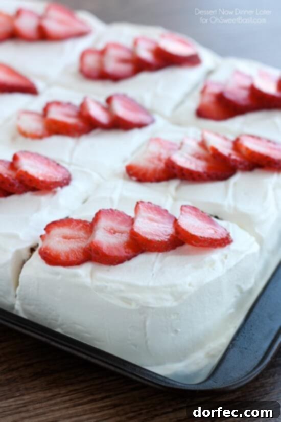 A stunning Tres Leches Cake, soaked in three kinds of milk and topped with fluffy whipped cream, a truly luxurious and moist dessert.