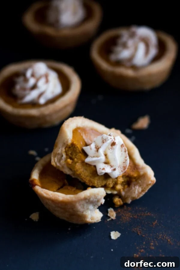 A perfectly baked Mini Pumpkin Pie, sliced in half, revealing its creamy, spiced pumpkin filling nestled within a golden, flaky crust.